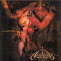 Asgaard: Eyemdx-tasy