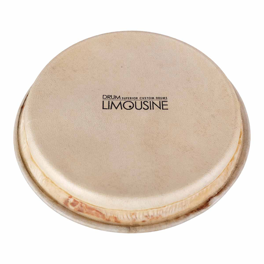 Drum Limousine TD-HEAD7 skinn till Traditionell bongo, 7"