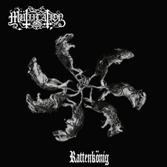 Mutiilation: Rattenkönig