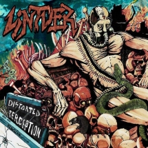 Lintver: Distorted Perception