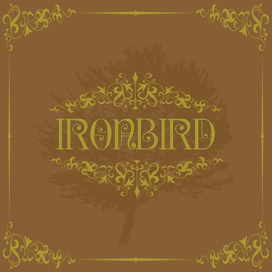 Ironbird: Ironbird 2017