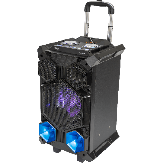 Ibiza Festivalhögtalare, 350W