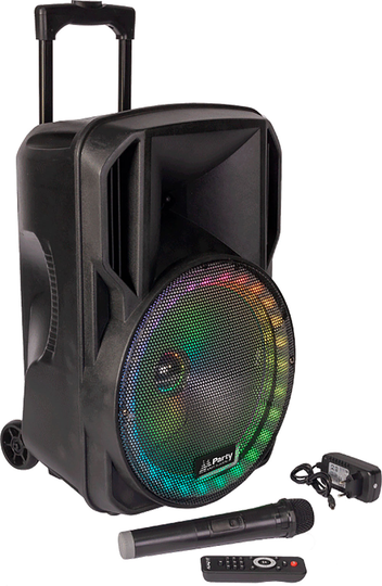 Ibiza RGB15PLS festivalhögtalare