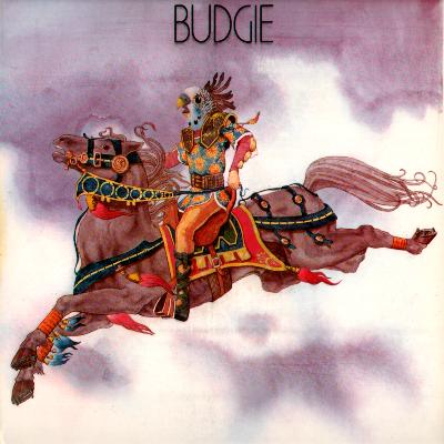 Budgie: Budgie