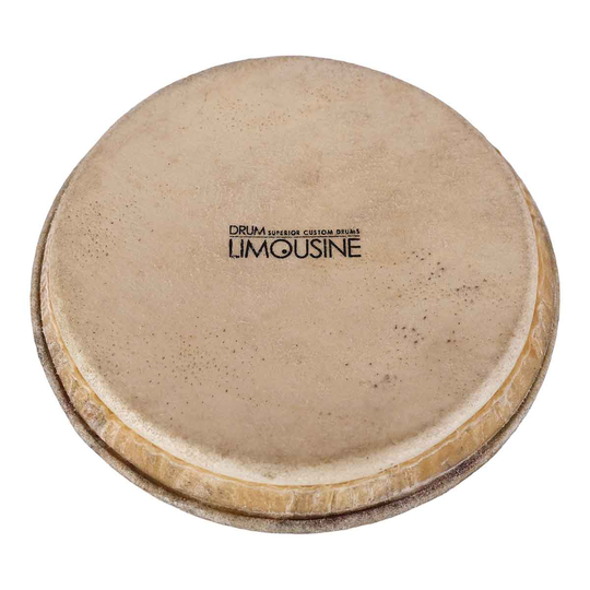 Drum Limousine TDP-HEAD7 skinn till Traditionell Pro bongo, 7"