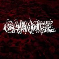Carnage: Massacre