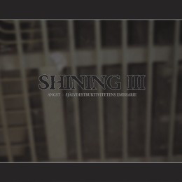 Shining: III - Angst 2002