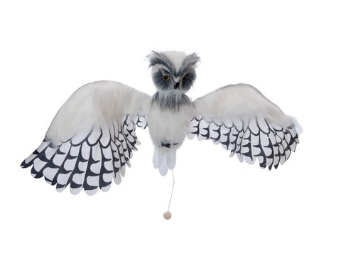 Halloween Snow Owl Hermine