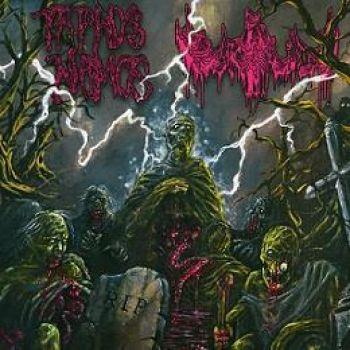 Taphos Nomos / Urdun: Rip Split