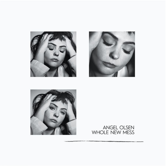 Olsen Angel: Whole New Mess