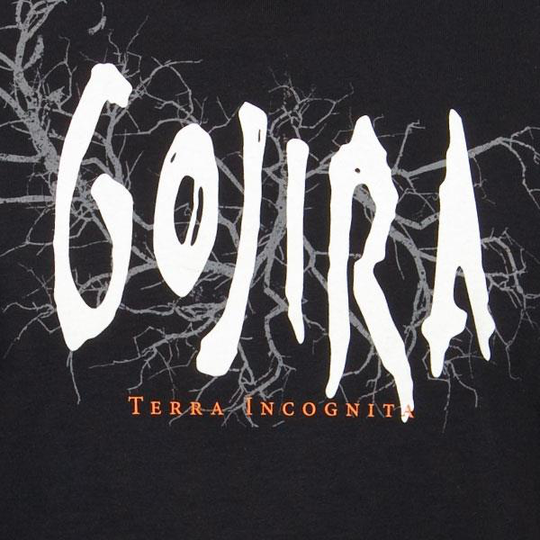 Gojira: Terra Incognita 2001 (Rem)