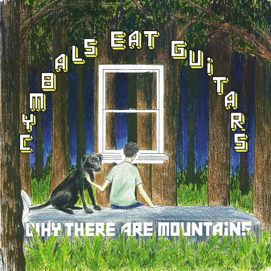 Cymbals Eat Guitars: Why There Are Mountains