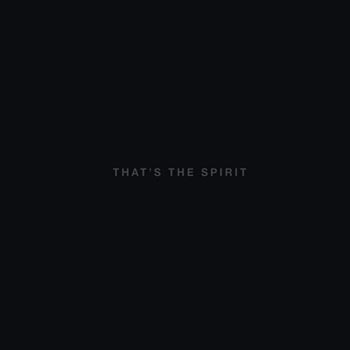 Bring Me The Horizon: That's the spirit