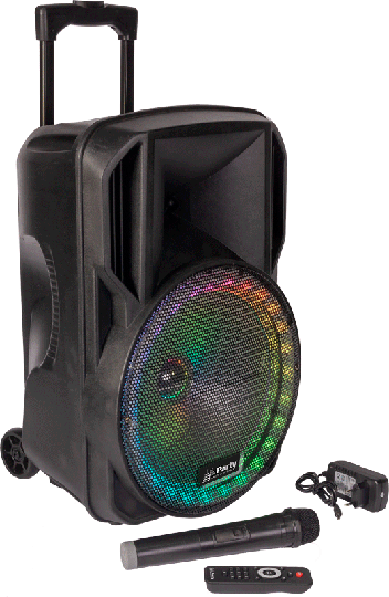 Ibiza RGB12PLS festivalhögtalare