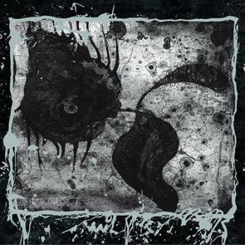 Antediluvian: Through The Cervix Of Hawwah