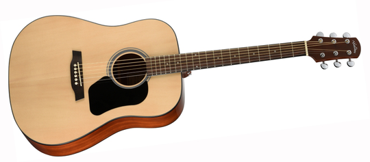 Walden D450W västerländsk gitarr