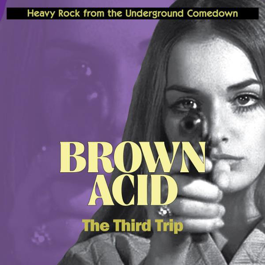 Various Artists: Brown Acid - The Third Trip