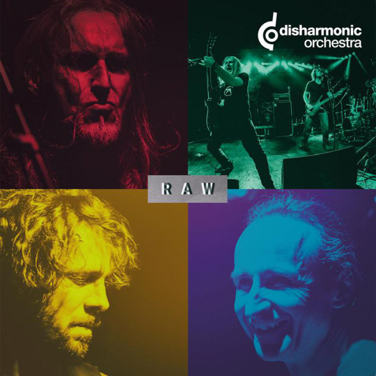 Disharmonic Orchestra: Raw