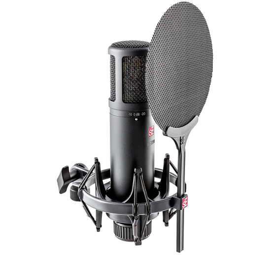 sE Electronics sE2200