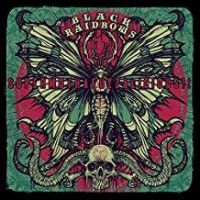 Black Rainbows: Supermothafuzzalicious!