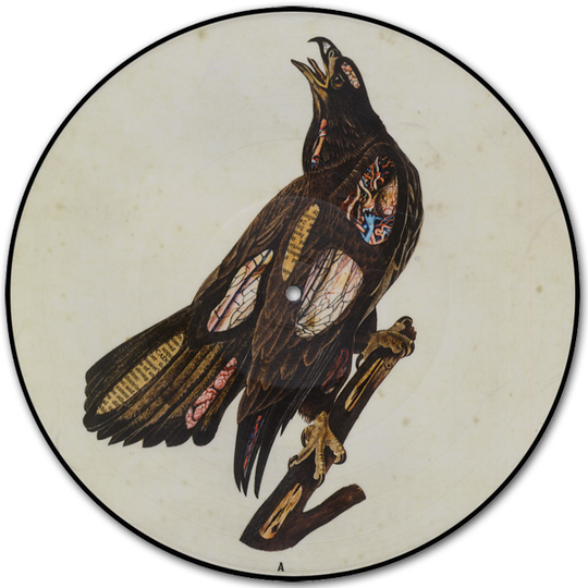 Clutch: Book of bad decisions (Picturedisc/Ltd)