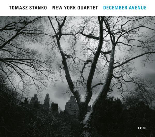 Stanko Tomasz: December avenue 2017