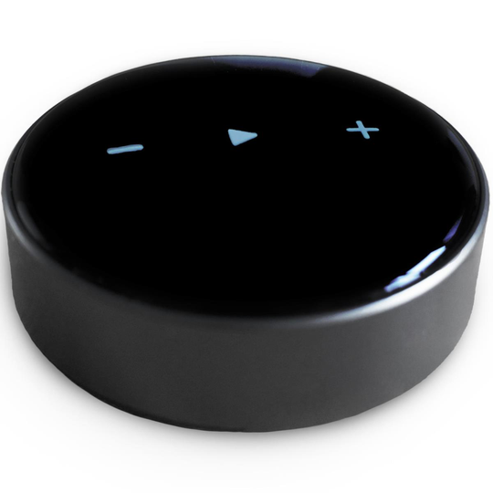Elipson: WM Multiroom Streamingadapter Spotify/Tidal