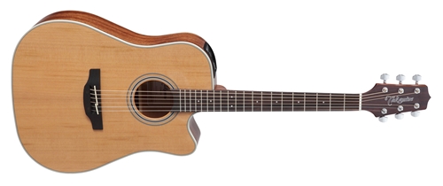 Takamine GD20CE-NS västerländsk gitarr