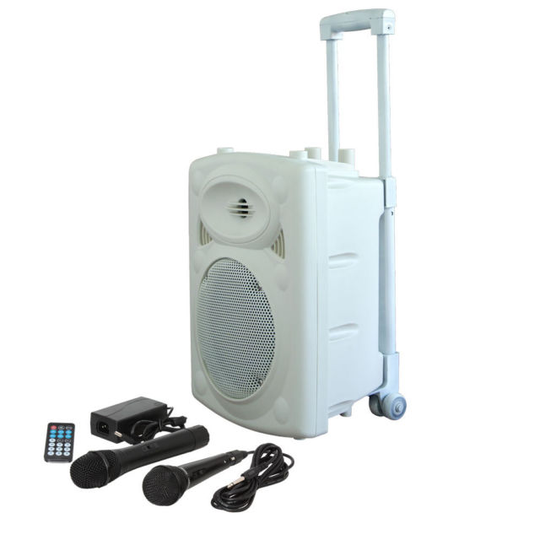 Ibiza 8" transportabel högtalare med USB och Bluetooth