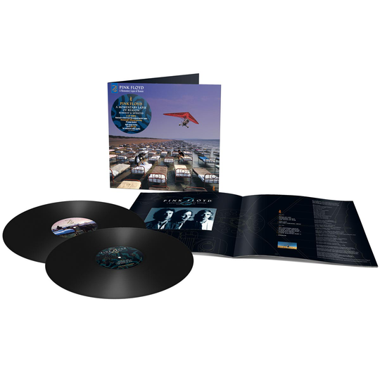 Pink Floyd: A momentary lapse of reason (2021)