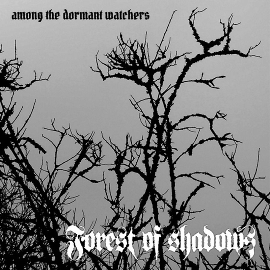 Forest Of Shadows: Among The Dormant Watchers
