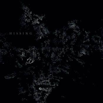 Hissing: Hissing