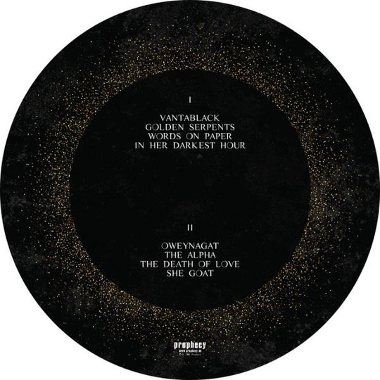 Dool: Here Now There Then (Picturedisc)
