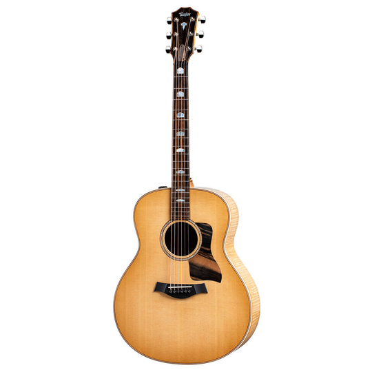 Taylor 618e western-gitarr