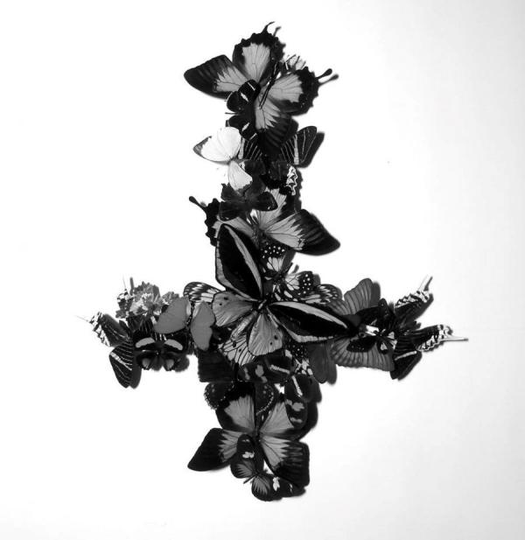 Monarch: Never forever