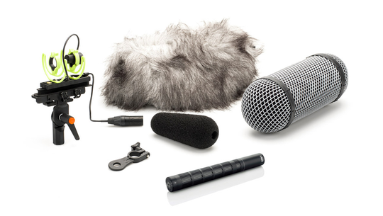 DPA 4017C kompakt hagelgevärsmikrofon med Rycote vindhuva
