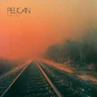 Pelican: The cliff