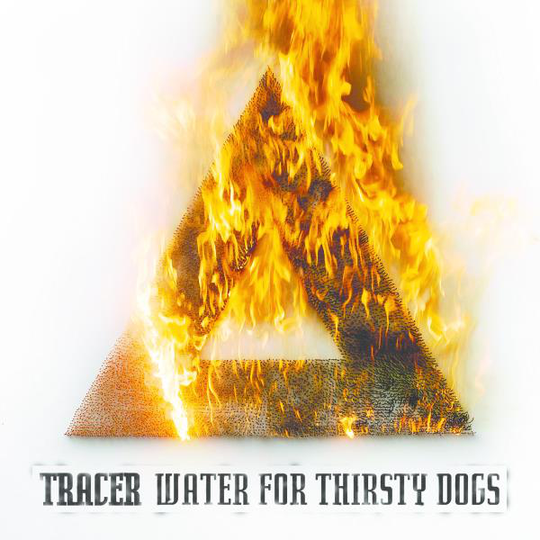 Tracer: Water For Thirsty Dogs